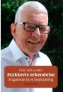 Stykkevis erkendelse