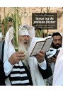 Jesus og de jødiske fester