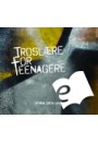 Troslære for teenagere - E-bog